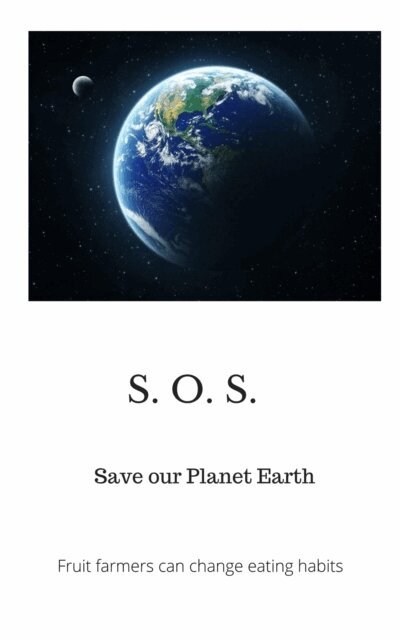 Peter A.J. Holst MD PhD - Save our Planet Earth, E-bok