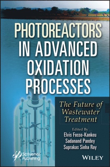 Suprakas Sinha Ray, Sadanand Pandey, Elvis Fosso-Kankeu - Photoreactors in Advanced Oxidation Process, E-bok