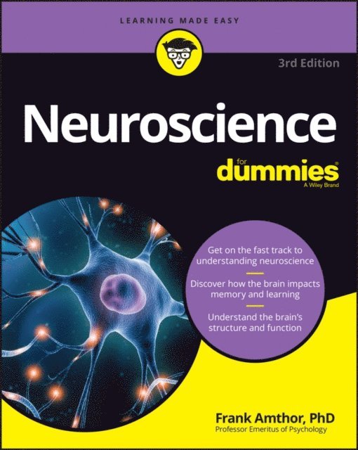 Frank Amthor - Neuroscience For Dummies, E-bok