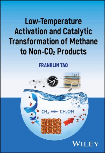 Franklin Tao - Low-temperature Activation and Catalytic Transformation of Methane to Non-CO2 Products, E-bok