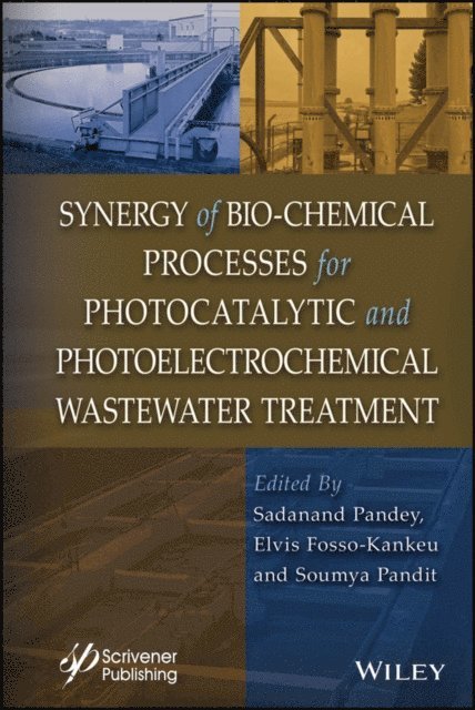 Soumya Pandit, Elvis Fosso-Kankeu, Sadanand Pandey - Synergy of Bio-Chemical Processes for Photocatalytic and Photoelectrochemical Wastewater Treatment, E-bok
