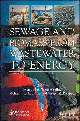 Inamuddin, Tariq Altalhi, Mohammad Luqman, Joseph K. Bwapwa - Sewage and Biomass from Wastewater to Energy, Inbunden