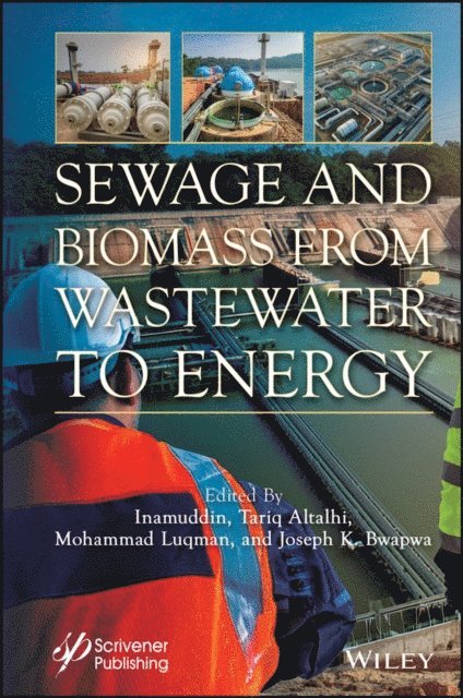 Joseph K. Bwapwa, Mohammad Luqman, Tariq Altalhi - Sewage and Biomass from Wastewater to Energy, E-bok