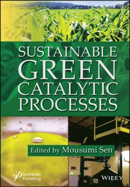 Mousumi Sen - Sustainable Green Catalytic Processes, E-bok