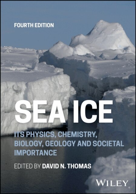 David N. Thomas - Sea Ice, E-bok