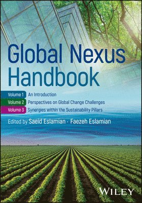 Faezeh Eslamian, Saeid Eslamian - Global Nexus Handbook, E-bok