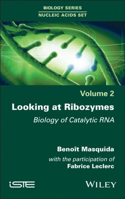Beno t Masquida - Looking at Ribozymes, E-bok