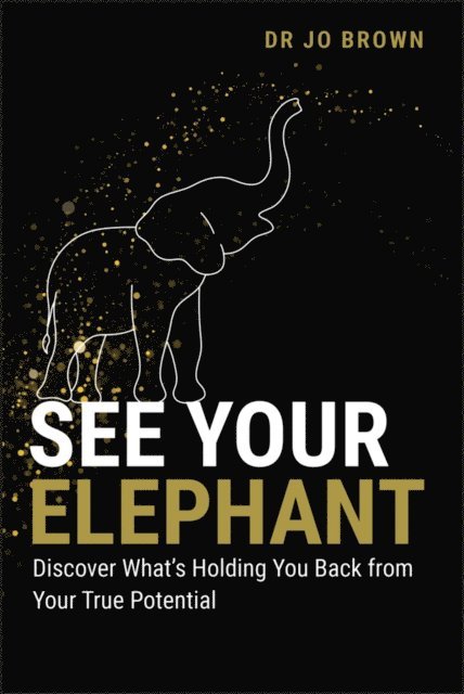 Jo Brown - See Your Elephant, E-bok