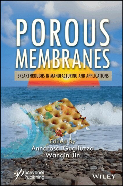 Wanqin Jin, Annarosa Gugliuzza - Porous Membranes, E-bok