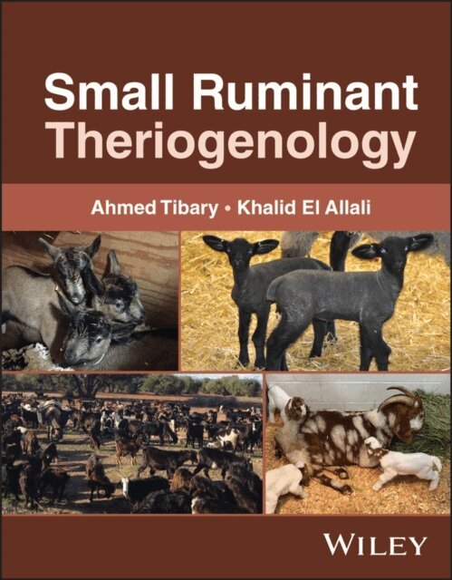 Khalid El Allali, Ahmed Tibary - Small Ruminant Theriogenology, E-bok