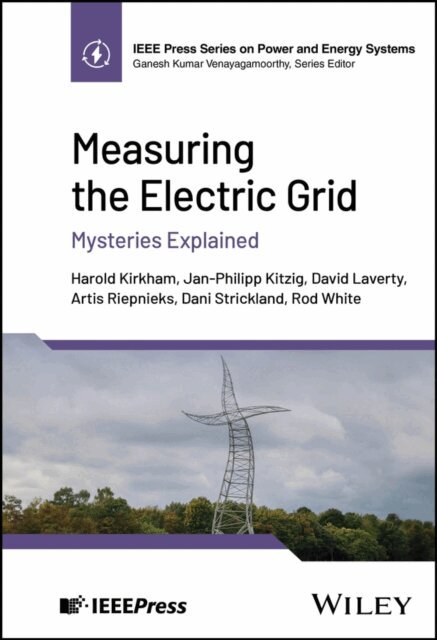 Rod White, Dani Strickland, Artis Riepnieks, David Laverty, Jan-Philipp Kitzig, Harold Kirkham - Measuring the Electric Grid, E-bok