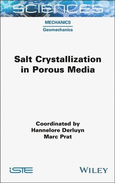 Marc Prat, Hannelore Derluyn - Salt Crystallization in Porous Media, E-bok