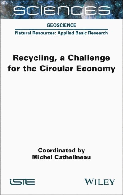 Michel Cathelineau - Recycling, a Challenge for the Circular Economy, E-bok