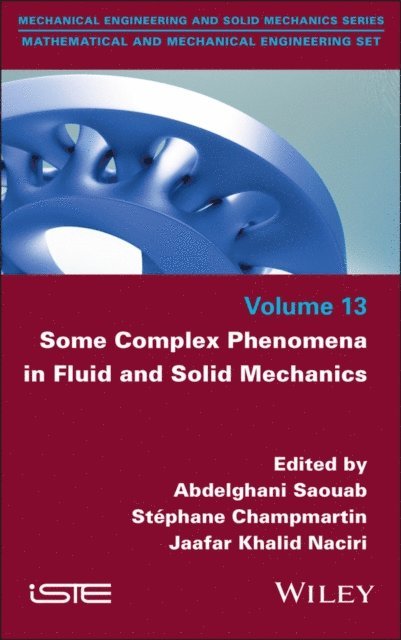 Jaafar Khalid Naciri, Stephane Champmartin, Abdelghani Saouab - Some Complex Phenomena in Fluid and Solid Mechanics, E-bok
