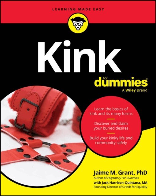 Jack Harrison-Quintana, Jaime M. Grant - Kink For Dummies, E-bok