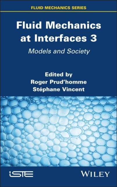 Stephane Vincent, Roger Prud'homme - Fluid Mechanics at Interfaces 3, E-bok