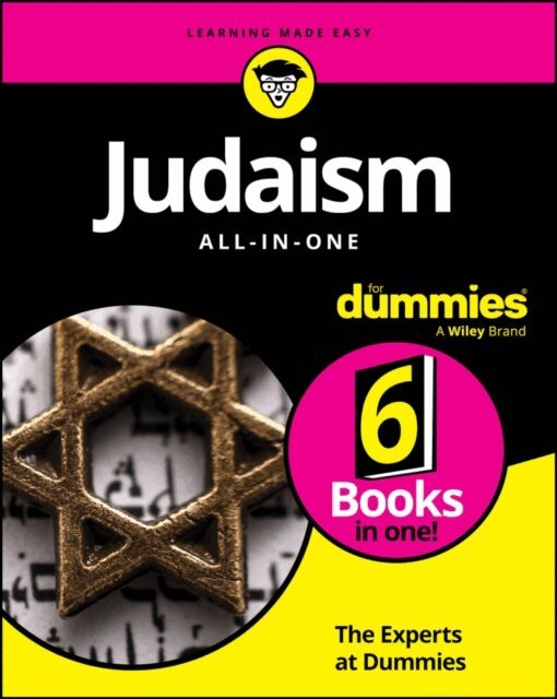 The Experts at Dummies - Judaism All-In-One For Dummies, E-bok
