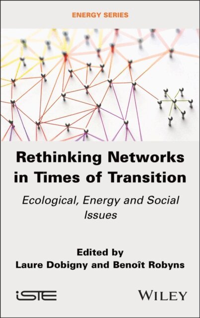 Beno t Robyns, Laure Dobigny - Rethinking Networks in Times of Transition, E-bok