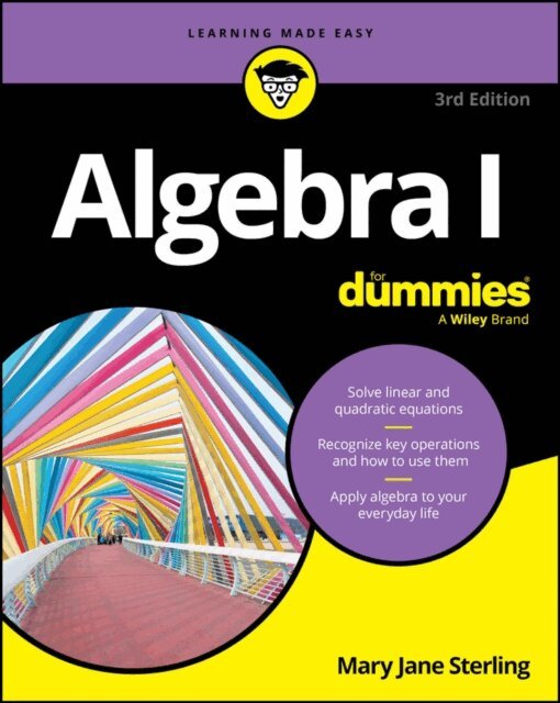Mary Jane Sterling - Algebra I For Dummies, E-bok