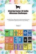 Irish Red Setter 20 Selfie Milestone Challenges Irish Red Setter Milestones For Memorable Moments, Socialization, Indoor & Outdoor Fun, Training Volume 3