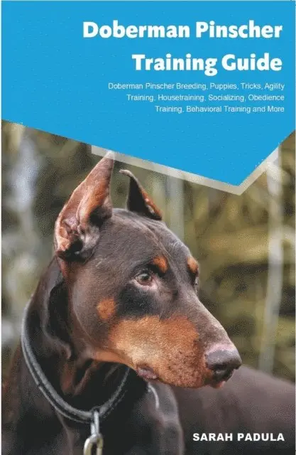 Sarah Padula - Doberman Pinscher Training Guide Doberman Pinscher Breeding, Puppies, Tricks, Agility  Training, Housetraining, Socializing, Obedience Training,  Behavioral Training and More, E-bok. Tillgänglighet: Lägg i varukorg