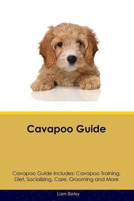 Liam Bailey - Cavapoo Guide Cavapoo Guide Includes, Häftad. Tillgänglighet: Lägg i varukorg