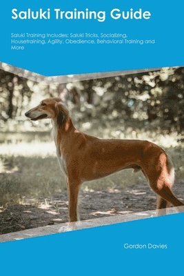 Gordon Davies - Saluki Training Guide Saluki Training Includes, Häftad. Tillgänglighet: Lägg i varukorg