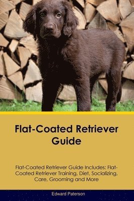 Edward Paterson - Flat-Coated Retriever Guide Flat-Coated Retriever Guide Includes, Häftad