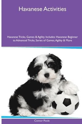 Havanese Activities Havanese Tricks, Games & Agility. Includes