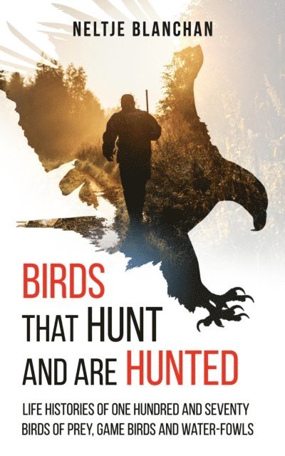 Birds That Hunt and Are Hunted