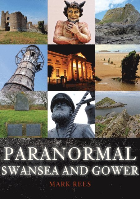 Mark Rees - Paranormal Swansea and Gower, E-bok