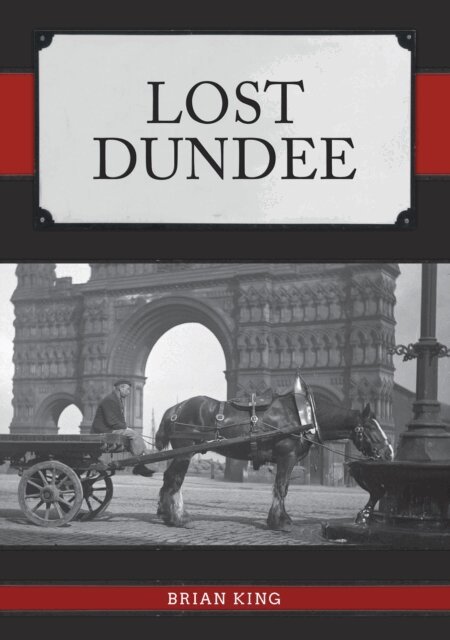 Brian King - Lost Dundee, E-bok