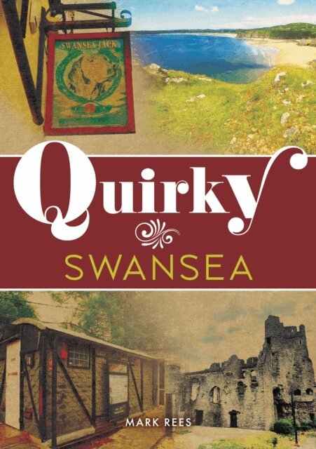 Mark Rees - Quirky Swansea, E-bok