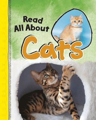 Jaclyn Jaycox - Read All About Cats, Häftad