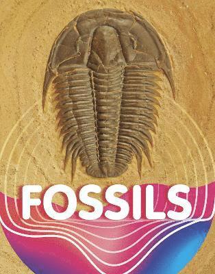 Keli Sipperley - Fossils, Inbunden