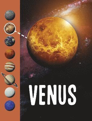 Jody Rake - Venus, Häftad. Tillgänglighet: Lägg i varukorg