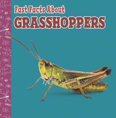 Julia Garstecki-Derkovitz - Fast Facts About Grasshoppers, Häftad