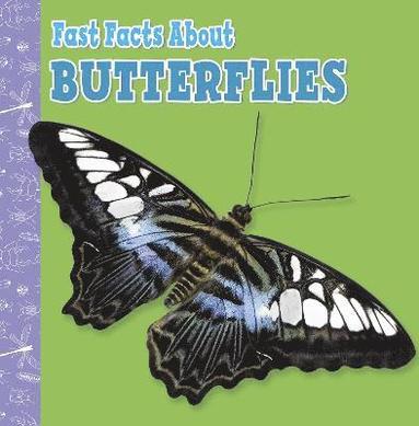 Lisa J. Amstutz - Fast Facts About Butterflies, Häftad