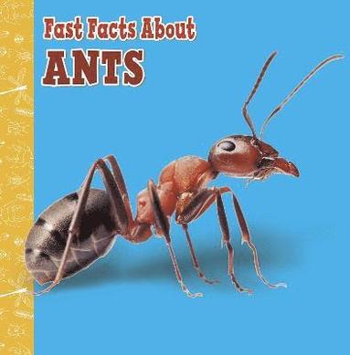 Lisa J. Amstutz - Fast Facts About Ants, Häftad