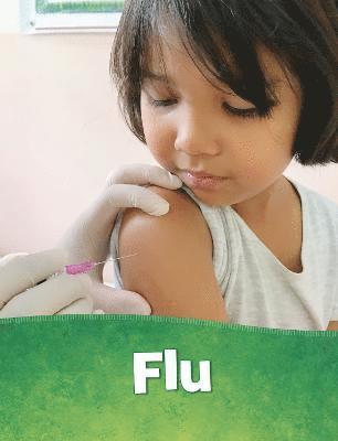 Beth Bence Reinke - Flu, Inbunden