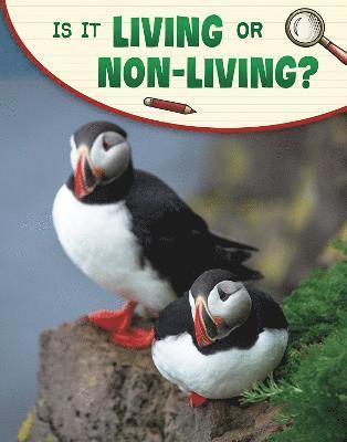 Lisa M. Bolt Simons - Is It Living or Non-living?, Inbunden