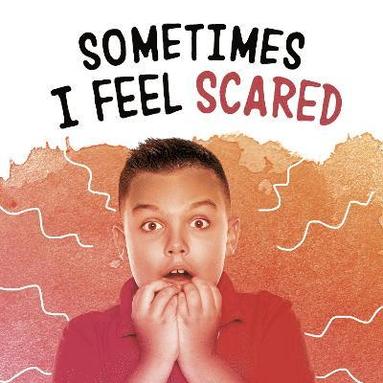 Nicole A. Mansfield - Sometimes I Feel Scared, Häftad