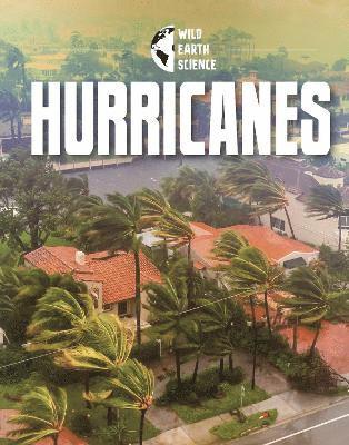 Golriz Golkar - Hurricanes, Inbunden