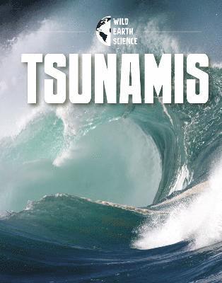 Isaac Kerry - Tsunamis, Inbunden