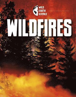 Jaclyn Jaycox - Wildfires, Inbunden