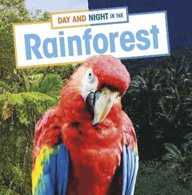 Ellen Labrecque - Day and Night in the Rainforest, Inbunden