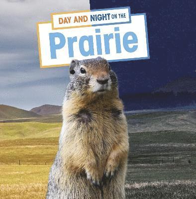 Ellen Labrecque - Day and Night on the Prairie, Inbunden