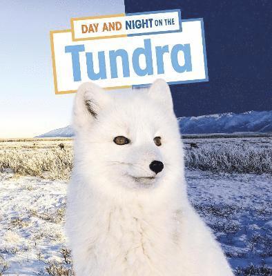 Mary Boone - Day and Night on the Tundra, Inbunden