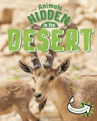 Jessica Rusick - Animals Hidden in the Desert, Inbunden
