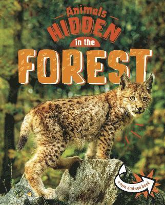Jessica Rusick - Animals Hidden in the Forest, Inbunden